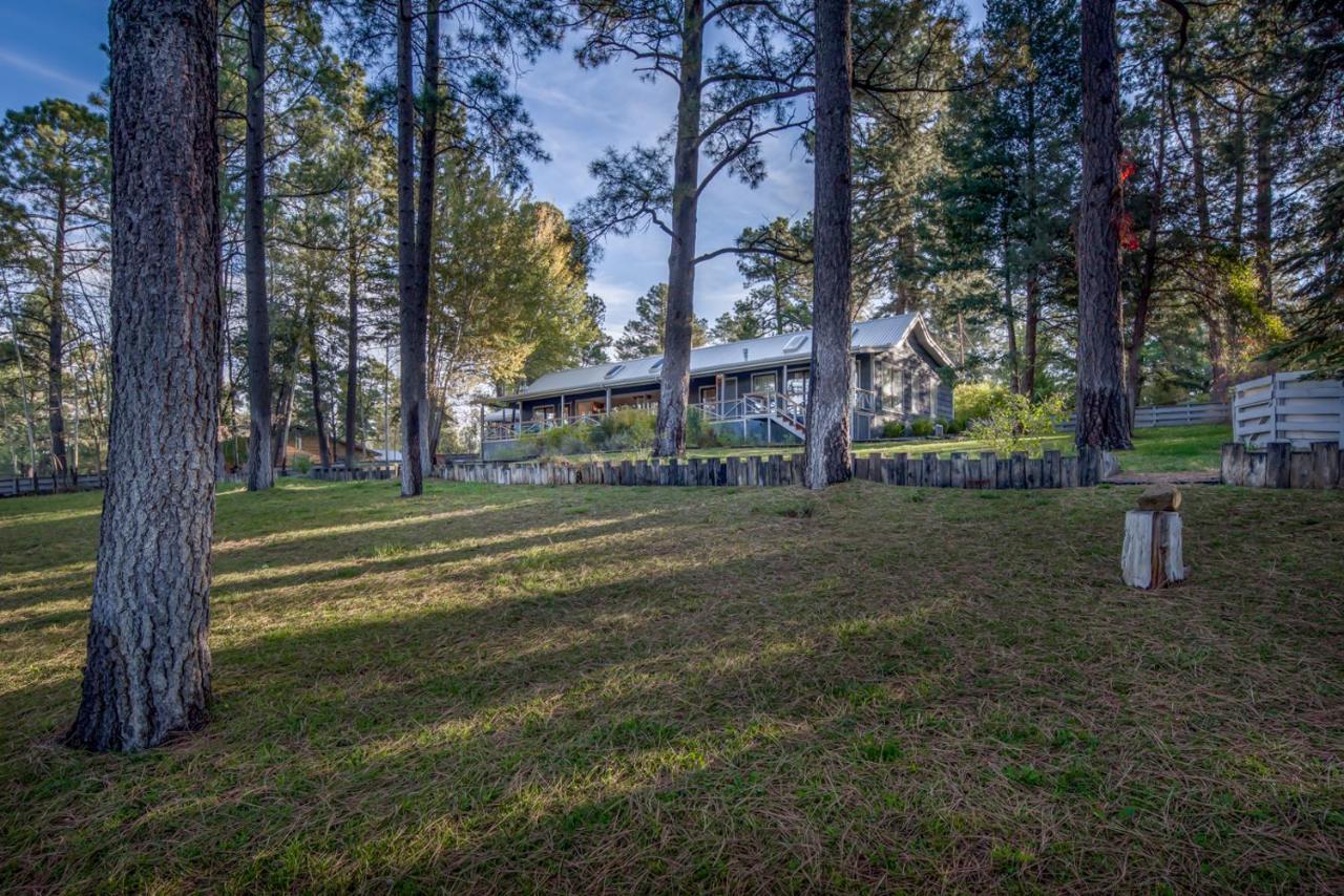 Hill Top Mountain View, 4 Bedroom, Pets, Hot Tub, Pool Table, Sleeps 10 Ruidoso Exterior photo